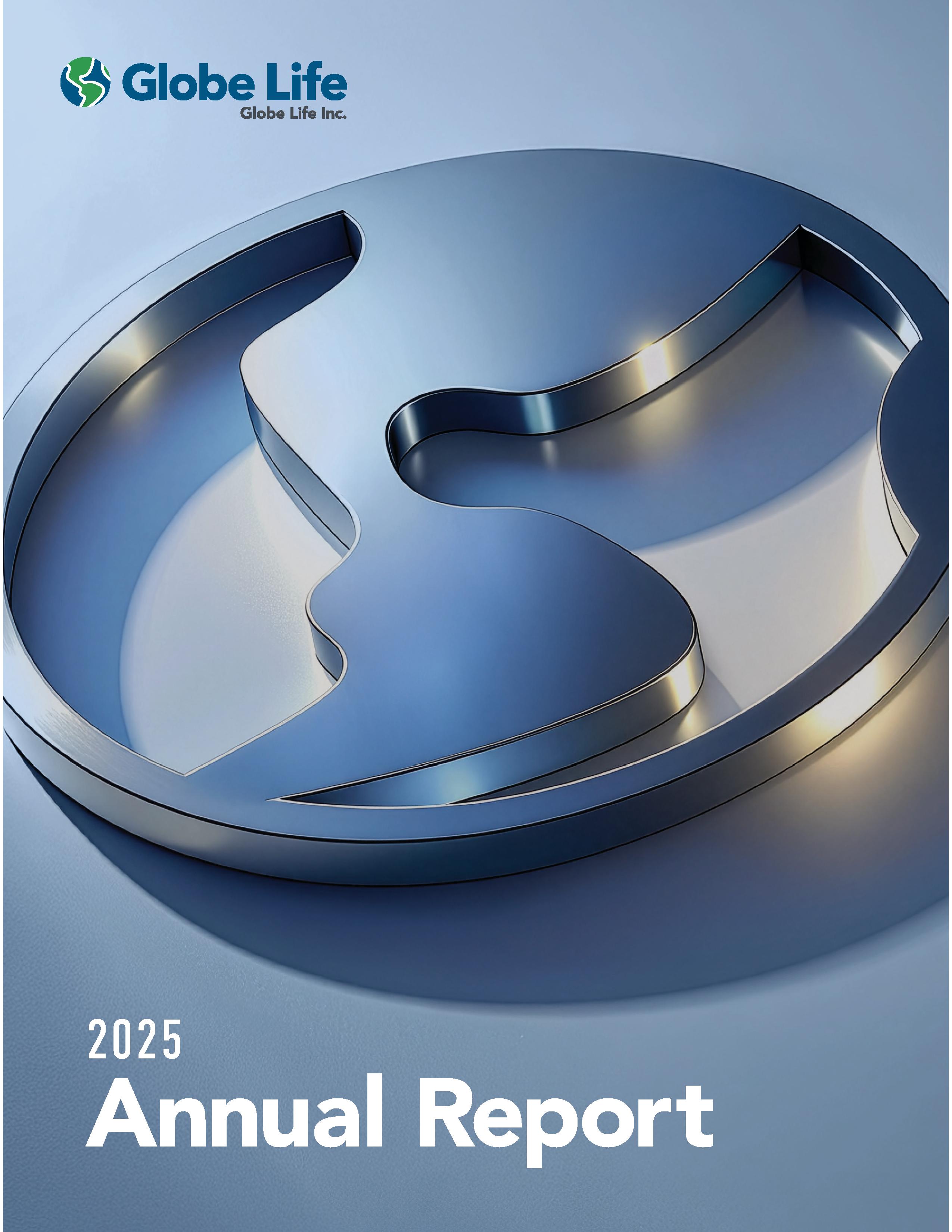 Annual Report Icon